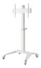 Ekraanialus Deltaco ARM-0452, 37-70 tolli, valge