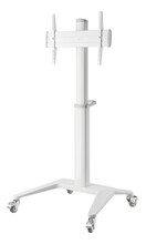 Ekraanialus Deltaco ARM-0452, 37-70 tolli, valge