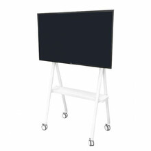 Televiisori põrandastatiiv Neomounts By Newstar NS-M1500WHITE, 32-65 tolli, kuni 50 kg, valge