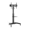 Mobiilne telerialus HISMART HS081171, 32-65 tolli