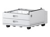 Paberisahtel Epson OPTIONAL DUAL CASSETTE-P1, C12C936871