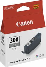 Tindikassett Canon PFI-300 GY, hall