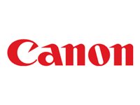 Tindikassett Canon PFI-320Y, kollane, 300 ml