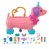 Mängukomplekt Polly Pocket kutsikale, HKV52