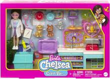 Nukk Barbie Chelsea Veterinary, HGT12