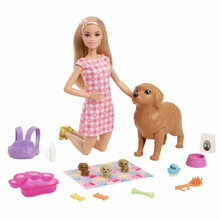 Barbie kutsikate komplekt Mattel HCK75
