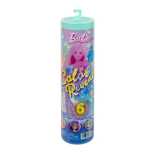 Nukk Barbie Color Reveal komplekt - Balloon Animals seeria, JFV58