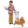 Komplekt Harry Potter Hario esimene reis Sigatüükasse, GXW31