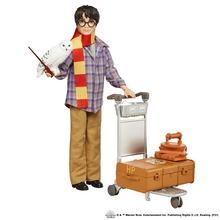 Komplekt Harry Potter Hario esimene reis Sigatüükasse, GXW31