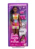 Nukk Barbie Brooklyn Mattel, JBF42, 29 cm