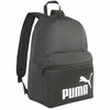 Koolikott Puma Phase 079943 01, must