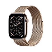 Apple Watch 11 Titanium 42mm