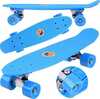 Rula Fishboard SP0575, 55 cm