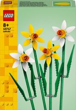 Lego Icons 40747