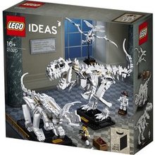 LEGO Ideas 21320