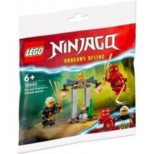 Lego Ninjago 30650