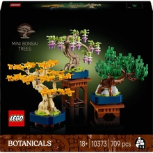 Lego Botanicals 10373