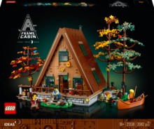 Lego Ideas 21338