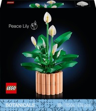 Lego Botanicals 11504