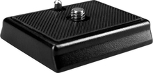Kiirkinnitusplaat Camrock H020