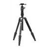Statiiv Fotopro X-go Gecko E2 koos FPH-42QP peaga, FP4269