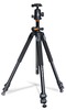 Statiiv Vanguard Alta Pro 263AB 100