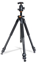 Statiiv Vanguard Alta Pro 263AB 100