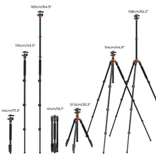 Statiiv K&F Concept K254A1+BH-28L 2-in-1 Quick Release Plate kits