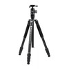 Statiiv Fotopro X-go Chameleon E2 koos FPH-52QP kuulpeaga