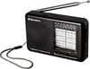 Raadio Roadstar TRA-2989, must