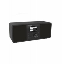 Raadio Telestar TOP 250 DAB+, must