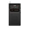 Raadio SPC Icy Max 4588N, must