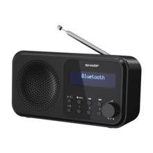 Raadio Sharp DR-P420, must