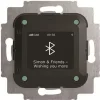 Raadiovastuvõtja Busch-Jaeger BTconnect DAB+ 8217 U-101, Bluetoothiga
