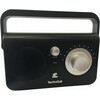 Raadio Technisat Classic 100, valge