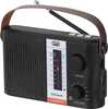 Raadio Trevi RA 7F25 BT, must