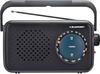 Raadiovastuvõtja Blaupunkt PR9BK