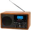 Raadio BLOW RA9 V.2