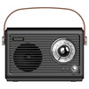 Raadio Savio RS-01, must