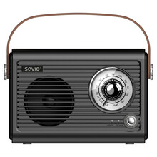 Raadio Savio RS-01, must