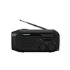 Raadio Blaupunkt ER10