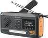 Raadio Sandberg 421-17, must