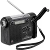 Raadio Renkforce RF-CR-200, must