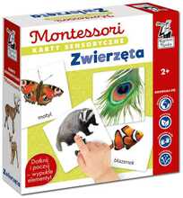 Sensoorikaarid Kapitan Nauka Animals 2+, KS1019