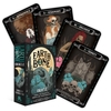 Kaardipakk Rockpool Earth & Bone Oracle, 42 kaarti koos juhendiga