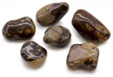 Kivid kaunistamiseks Ancient Wisdom Jasper Nguni, 6 tk, L suurus
