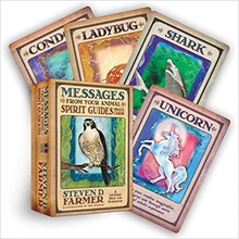 Oraakelkaardid Messages from Your Animal Spirit Guides, HAY HOUSE