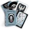 Taro kaardid Crystal Ball Pocket Oracle, Hay House