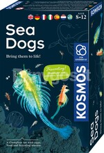 Laste arendav komplekt Kosmos Sea Dogs 8-12 aastat