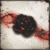 Lauamäng Ludus Magnus Studio Black Rose Wars